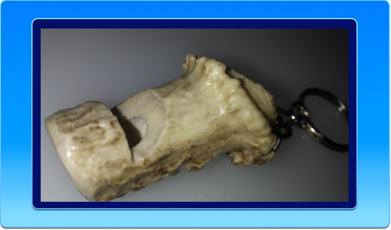 Elk Horn Whistle