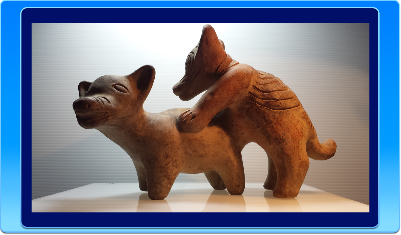 Clay Dogs