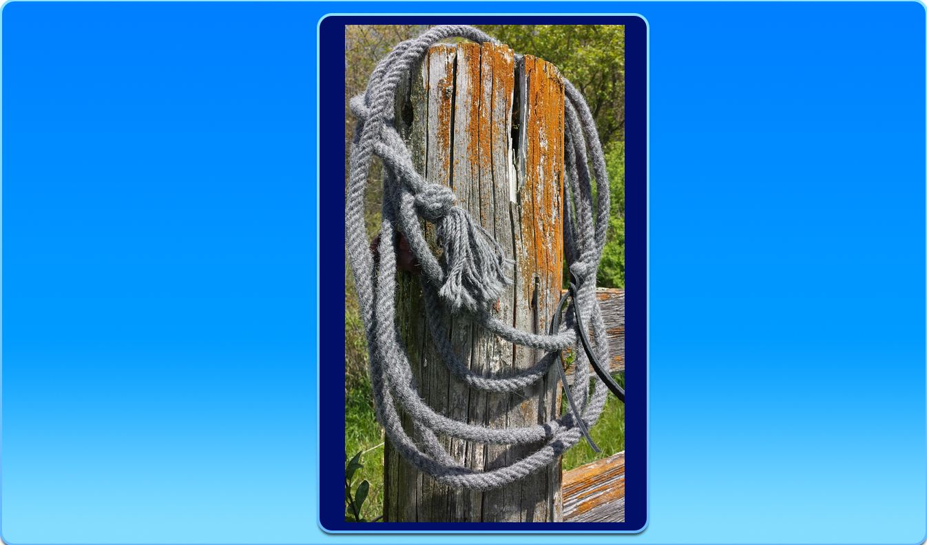 270" Hand Woven Peruvian Alpaca Wool Rope with Leather Tip