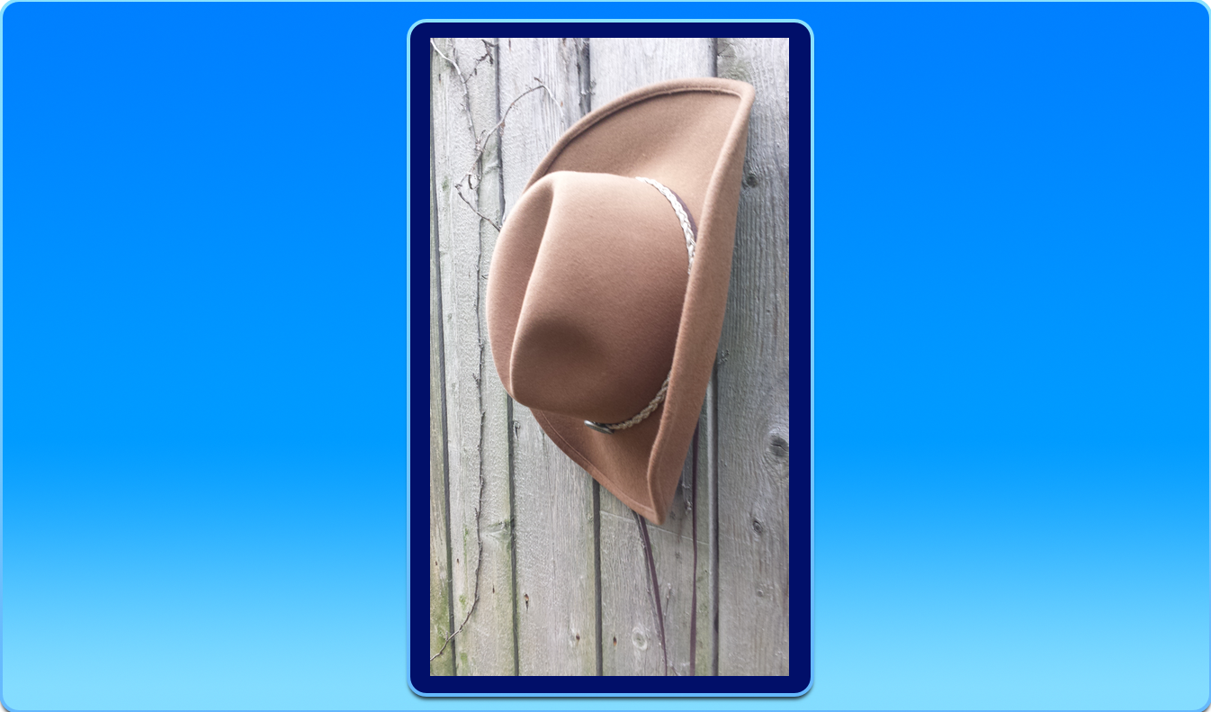 Brown Wool Felt Cowboy Hat