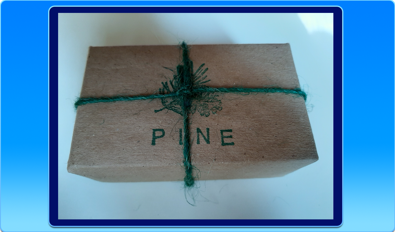 ROTATION Pine.png