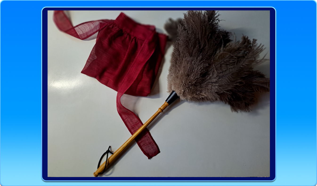 Ostrich Feather Duster