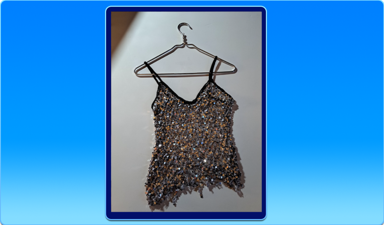 22" Long Mirrored See-Through Silver Netting Top