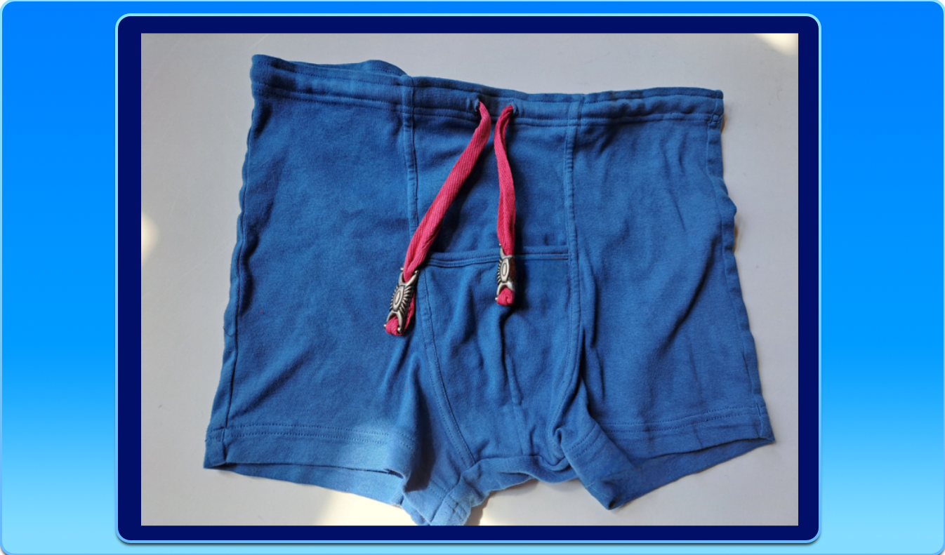 100% Organic Cotton Hand-Dyed Blue Cabana Shorts