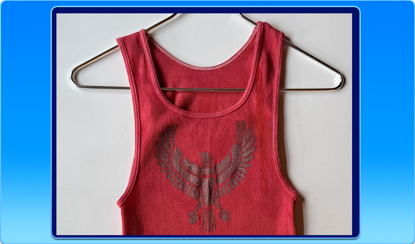 Totem of The Ancient Egyptian Sun God "Ra" on a 100% Hand-Dyed Tank Top
