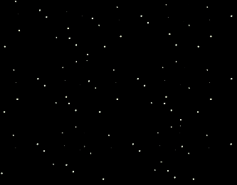 Screen Shot 2024-04-17 at 7.46.04 PM.png