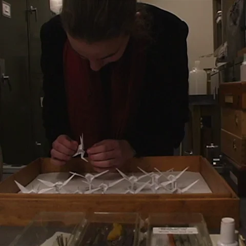 Twofold_looking at the origami collection copy.jpg