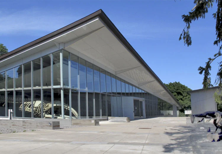 Theory of Flight at the Museum of the Earth