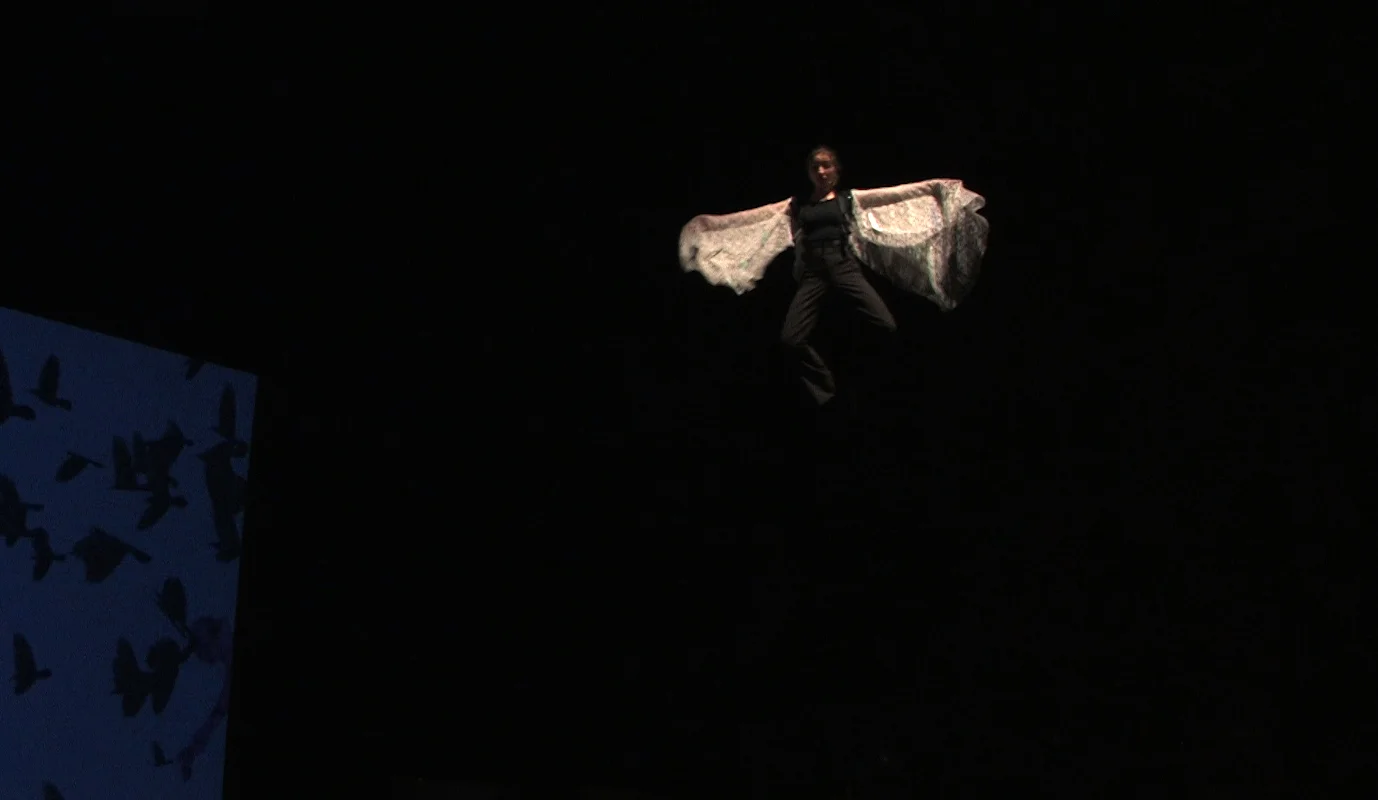 Theory of Flight