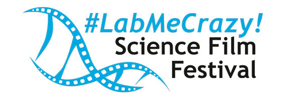 logo_labmecrazy.jpg