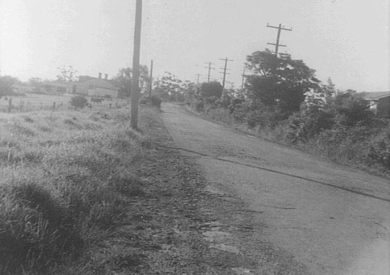Duffy Avenue, Thornleigh looking South. 1935