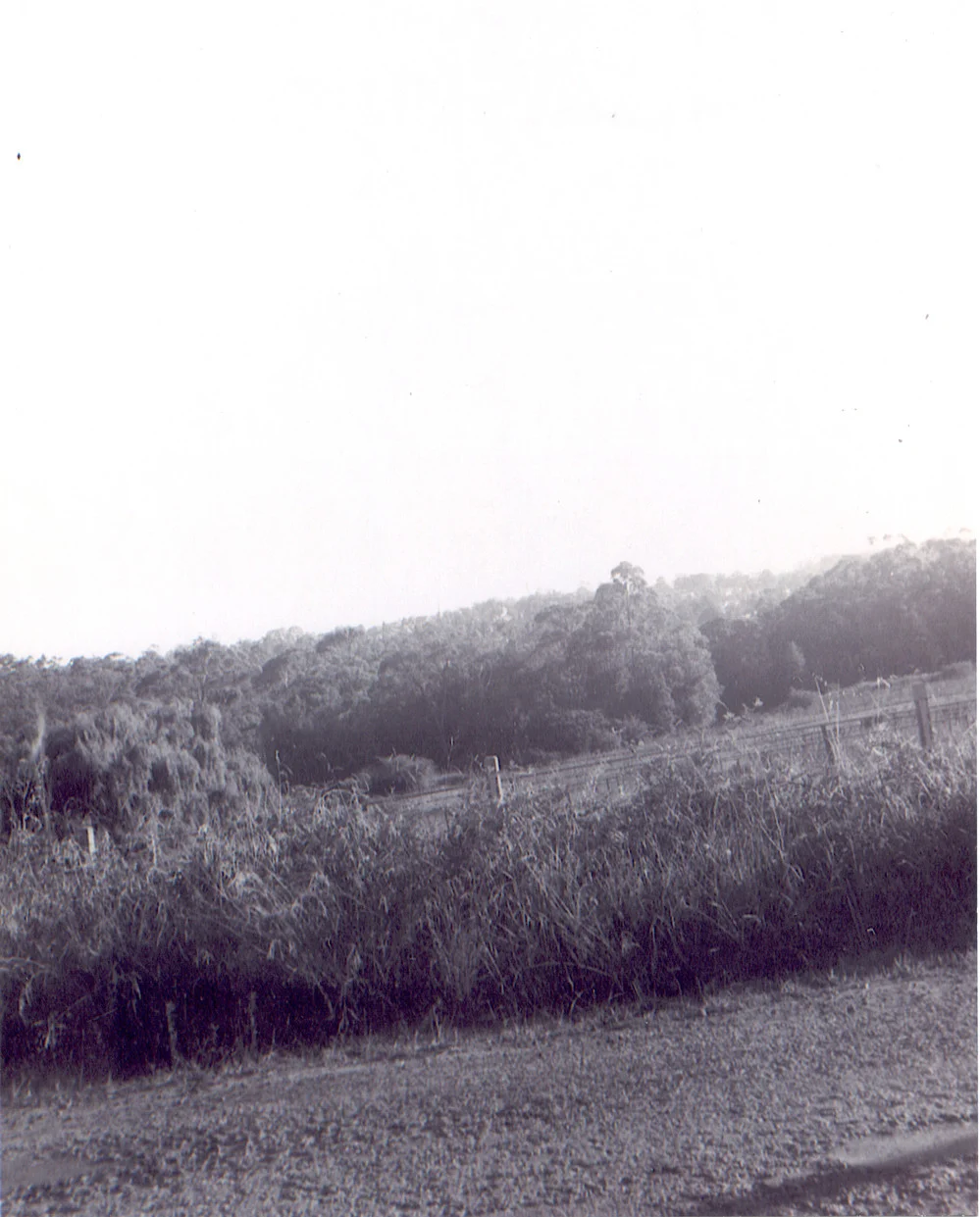 Duffy Avenue, Thornleigh, looking south 1962