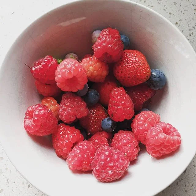 Enjoying a daily harvest of berries.