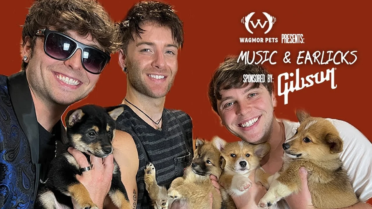 Emblem 3 Writes a Song While Surrounded By PUPPIES!