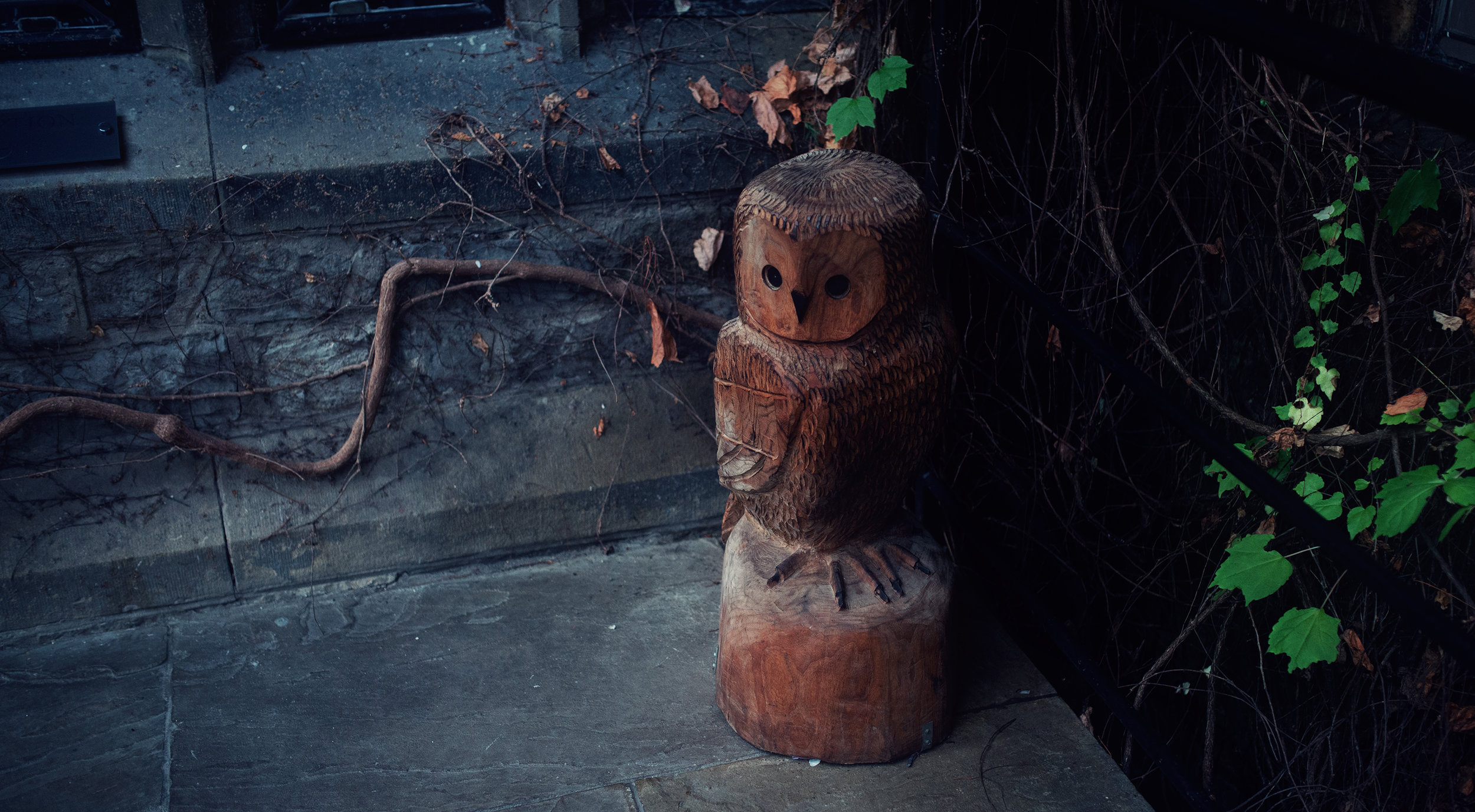 Wooden Owl carving at Stirk House