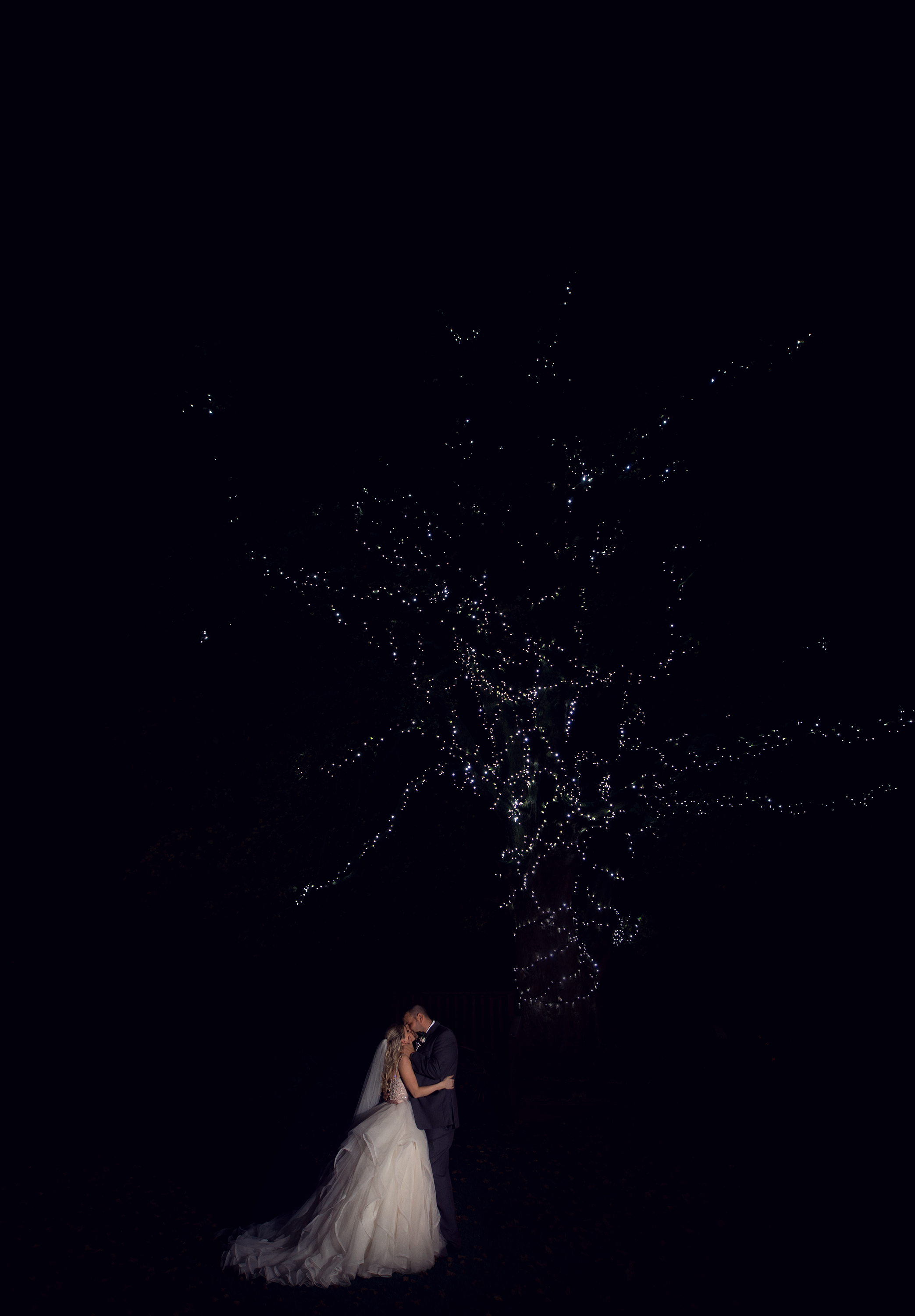 Night time shot of the Bride and Groom under the illuminated tree at Stirk House Hotel