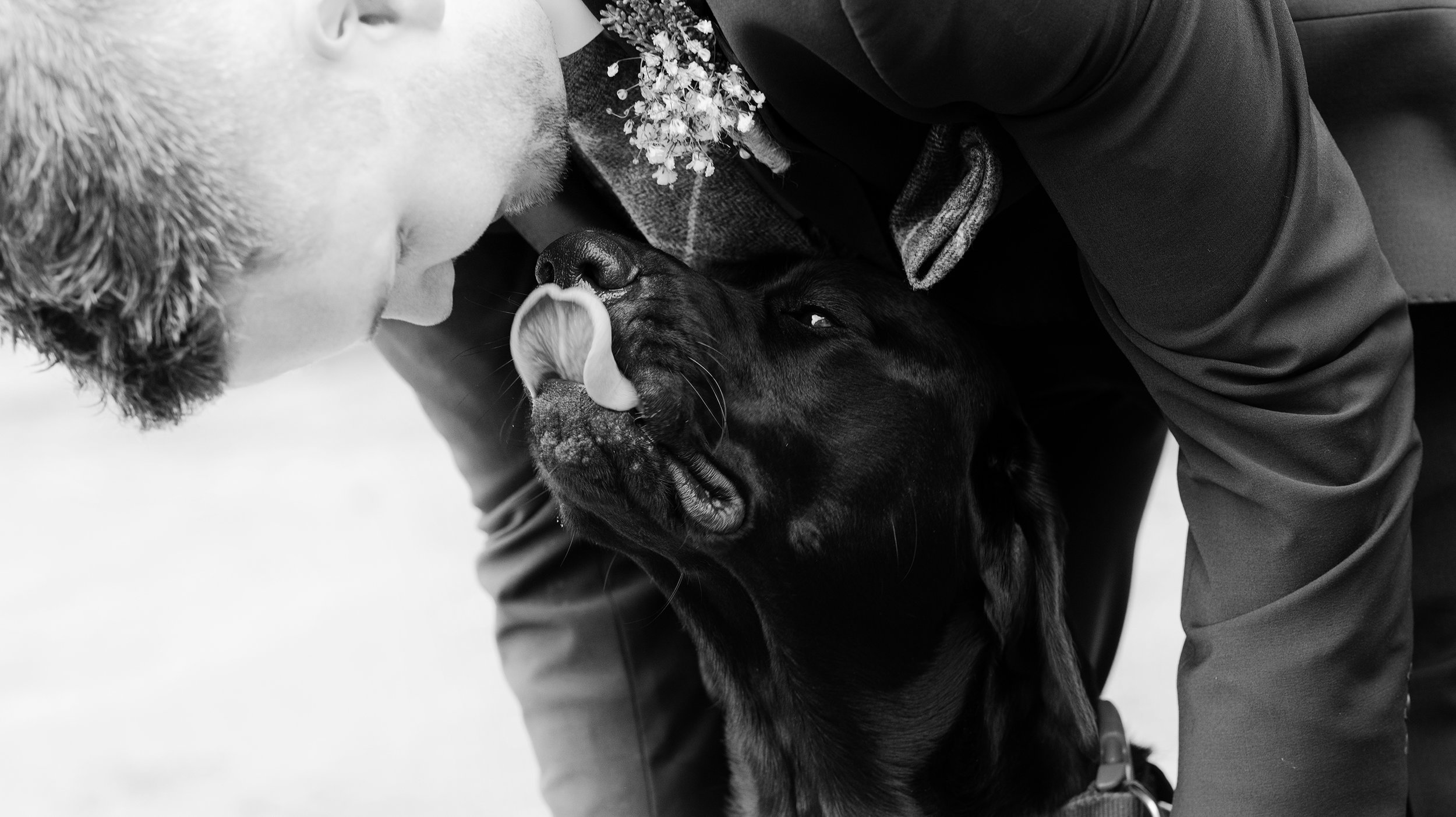 I thing the dog was very happy to see the happy couple