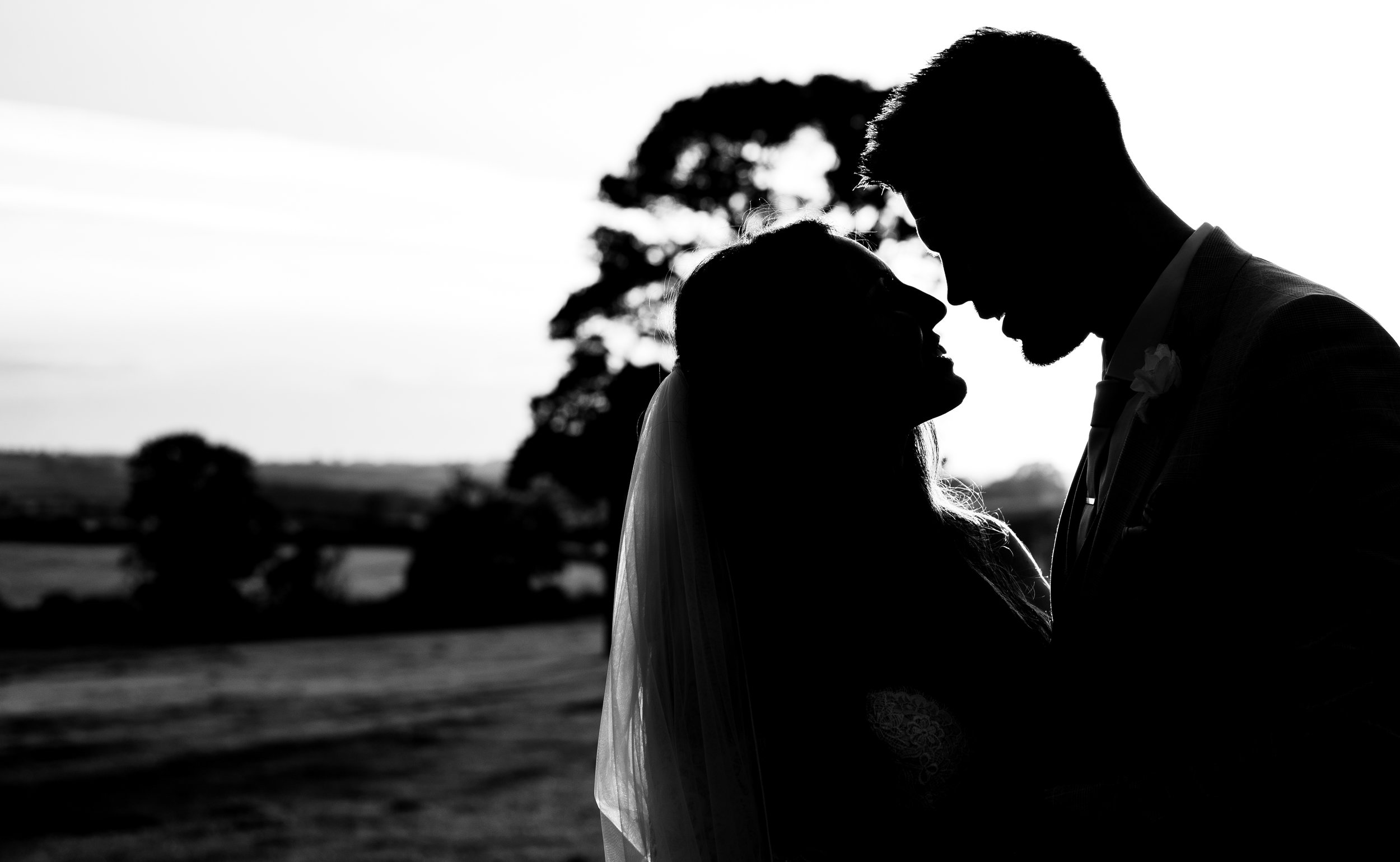 Back and white silhouette of a bride and groom during the portrait session