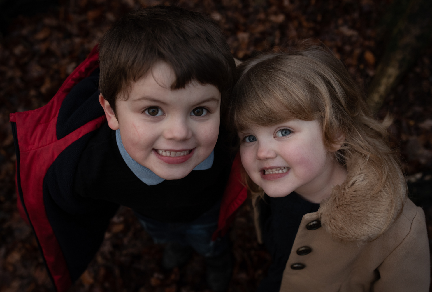 Two children looking up into the camera lens in the woods