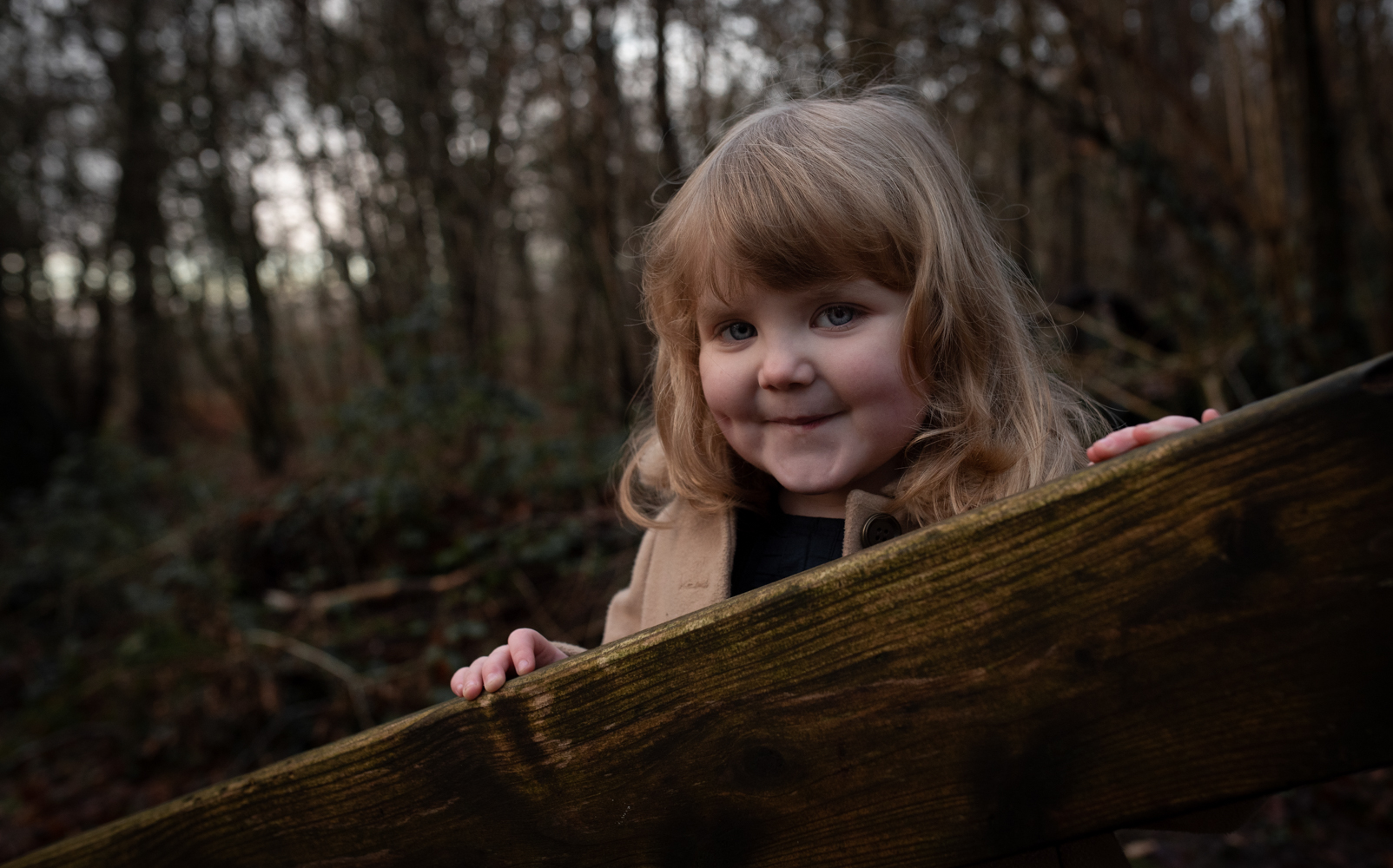 Little Rosie posing on the bridge in the woods