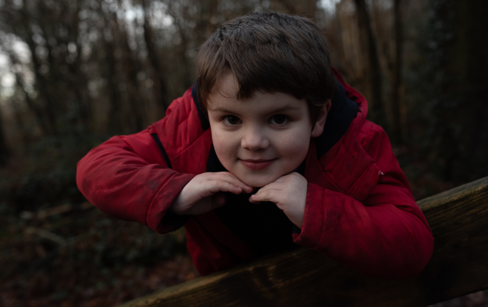 Young lad posing on the bridge in the woods