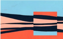 collage1.jpg