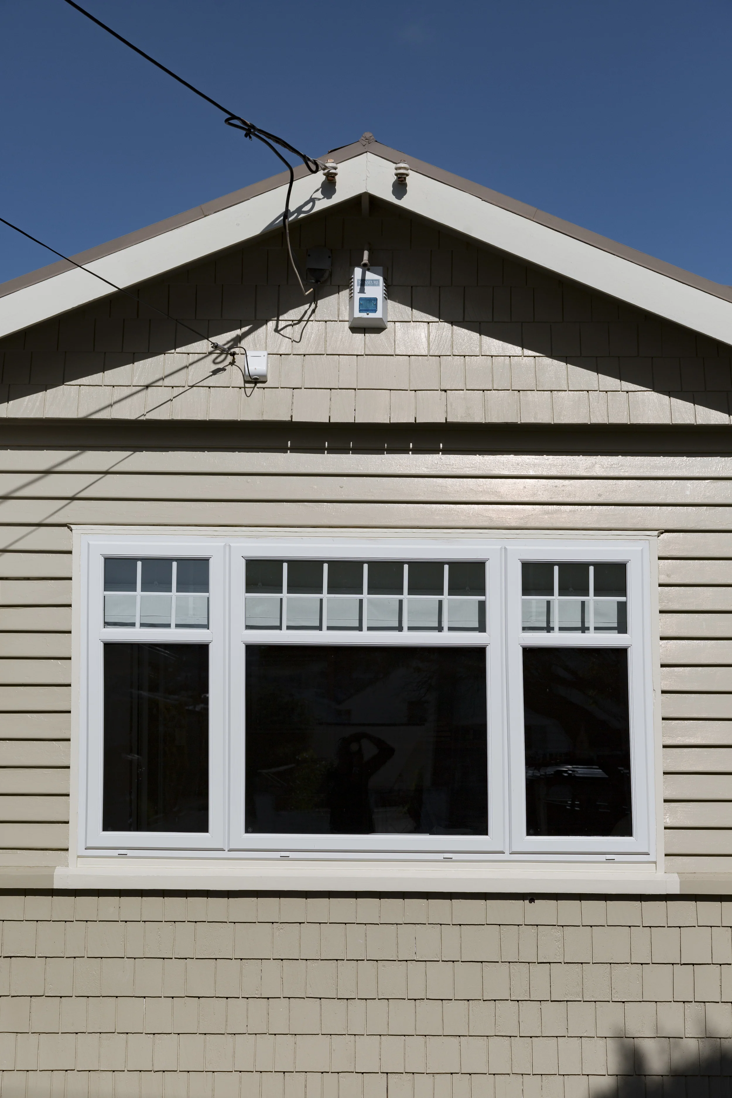 Rex st -0254 - untitled.jpg