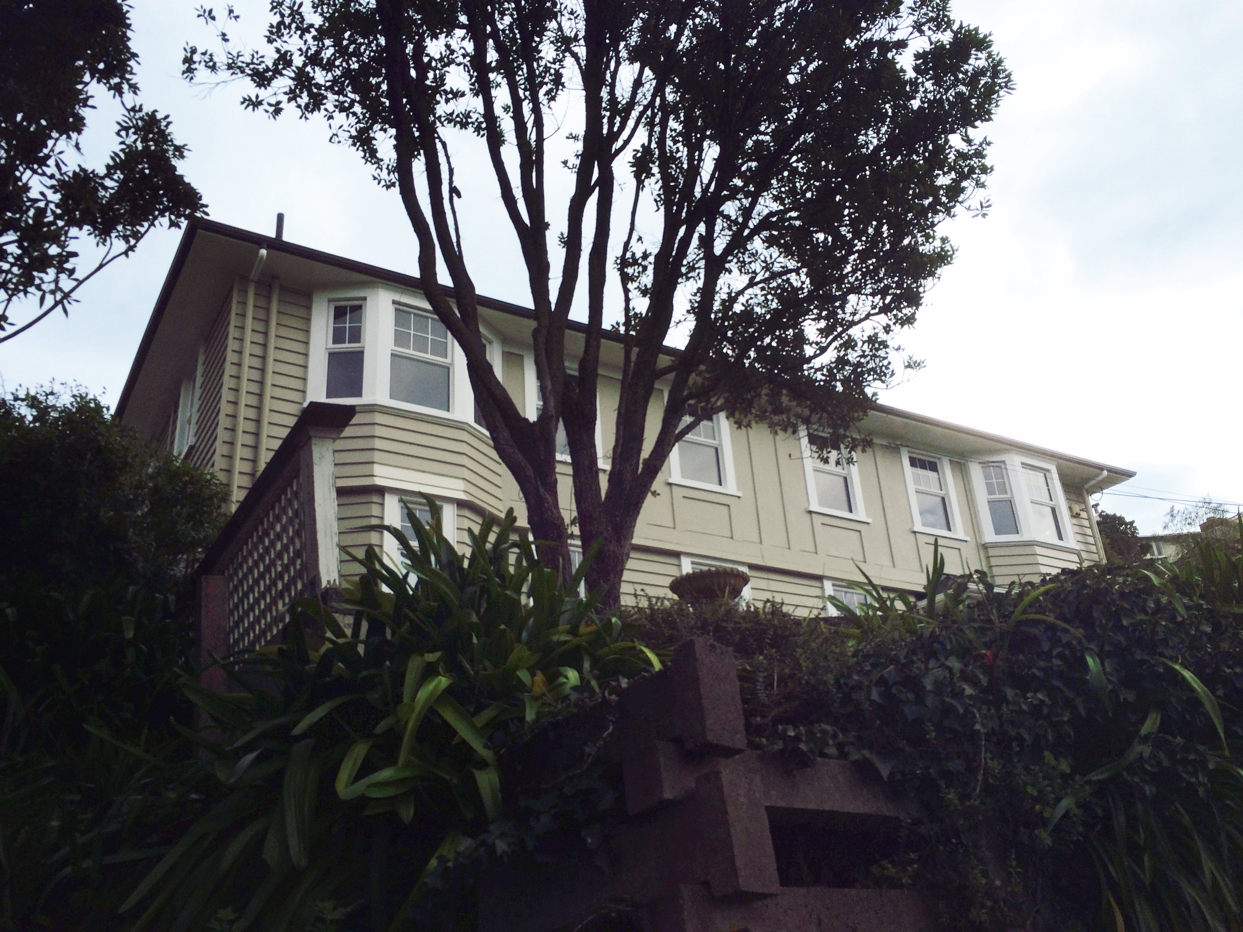 TF Wadestown-A-3.jpeg