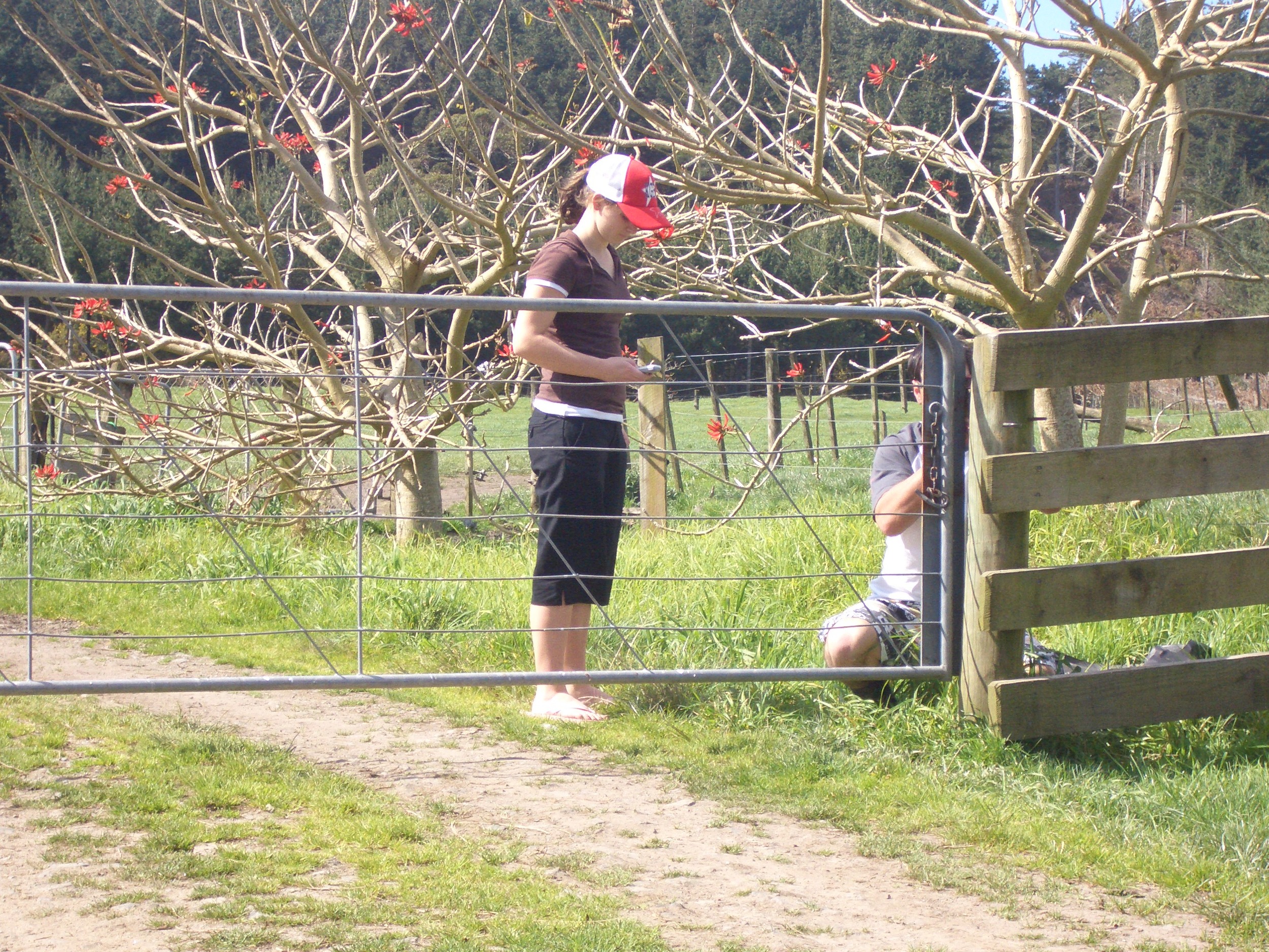 we shut the gate about twenty times to get the clang just right