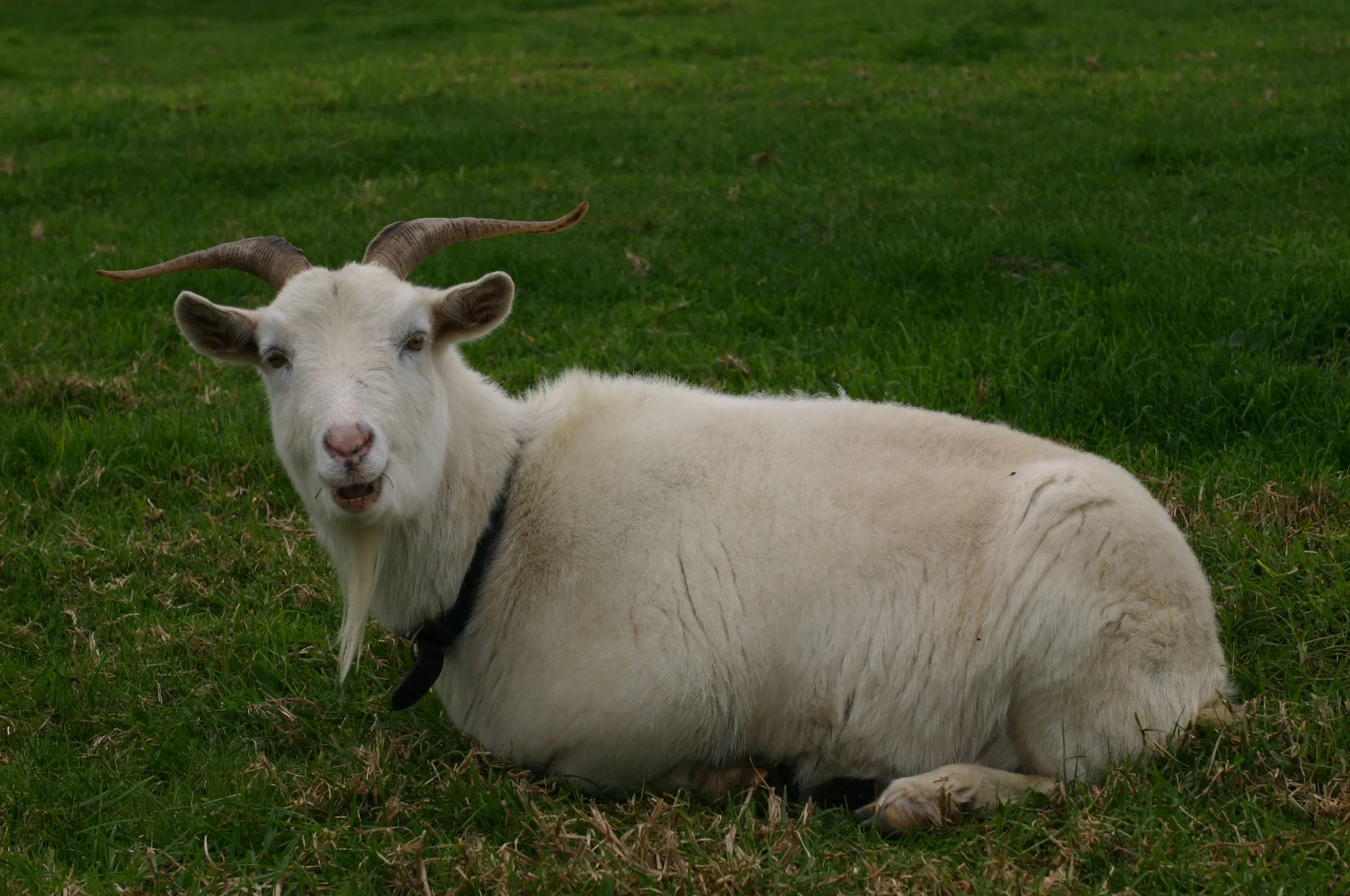 Are you talkin to me?