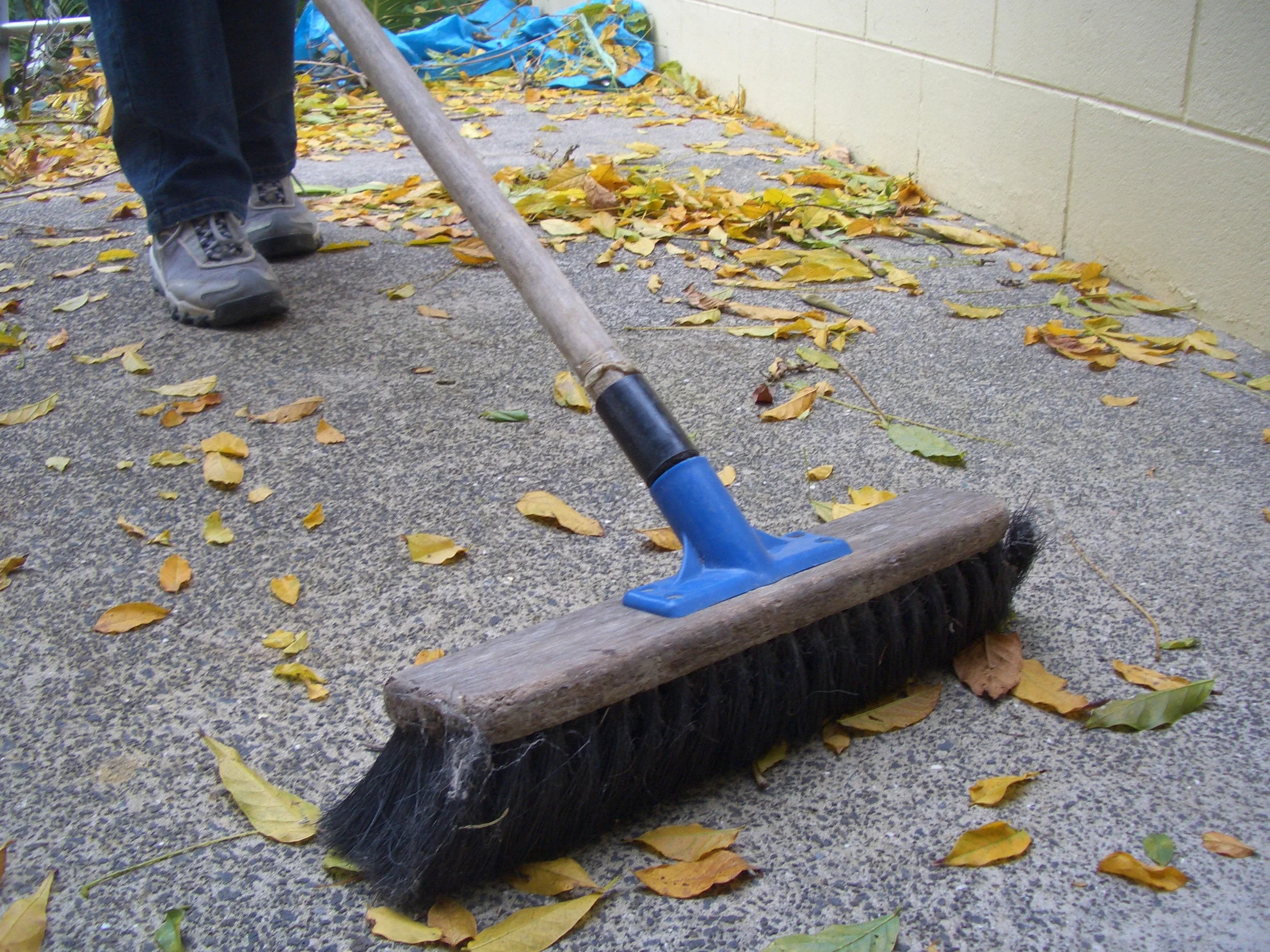 sweeping. That's my Dad at his place in Mairangi Bay.