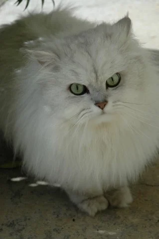 talk, talk is good ... real world sounds stories!