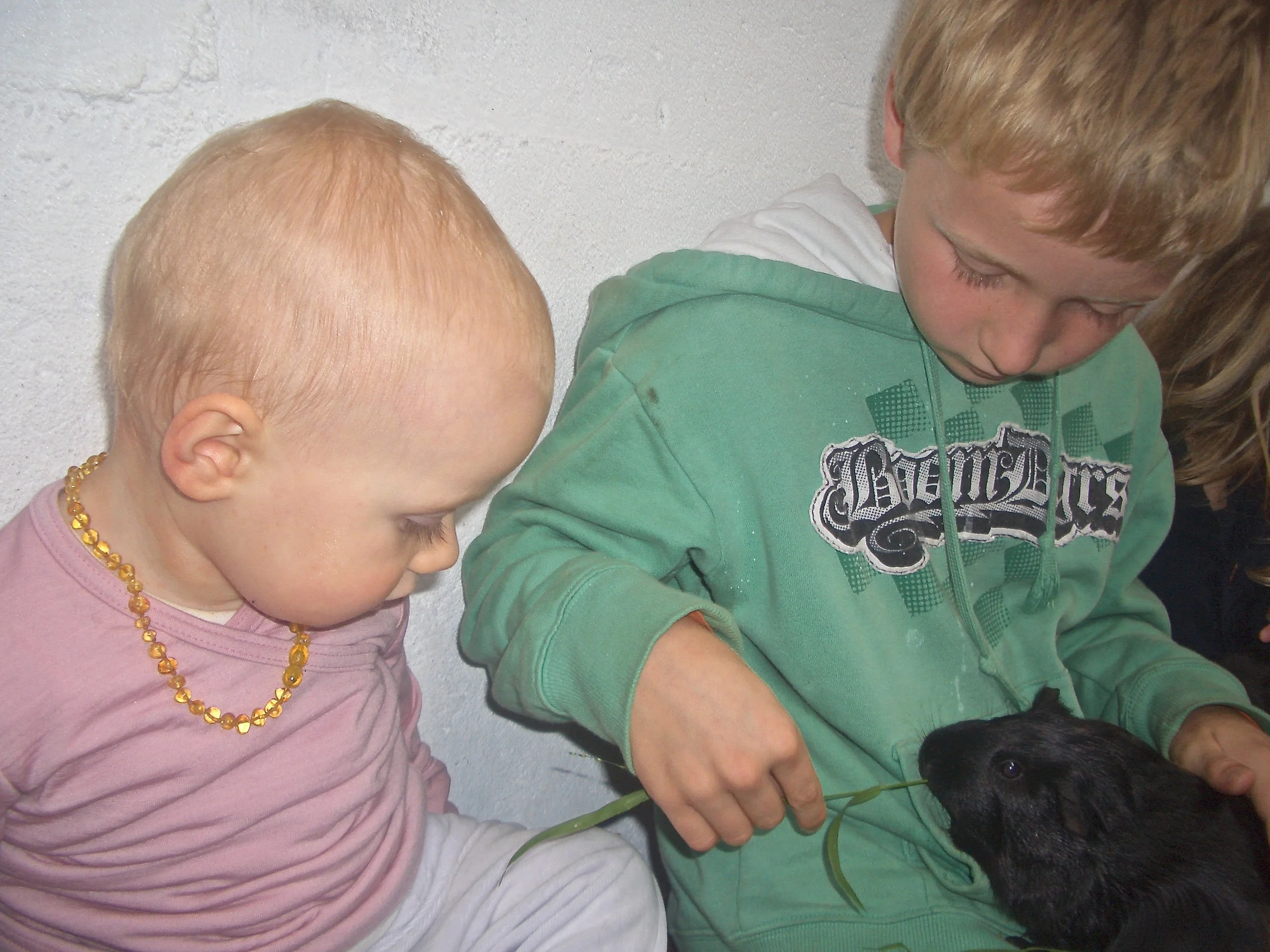 image to illustrate joint attention: children with guinea pig