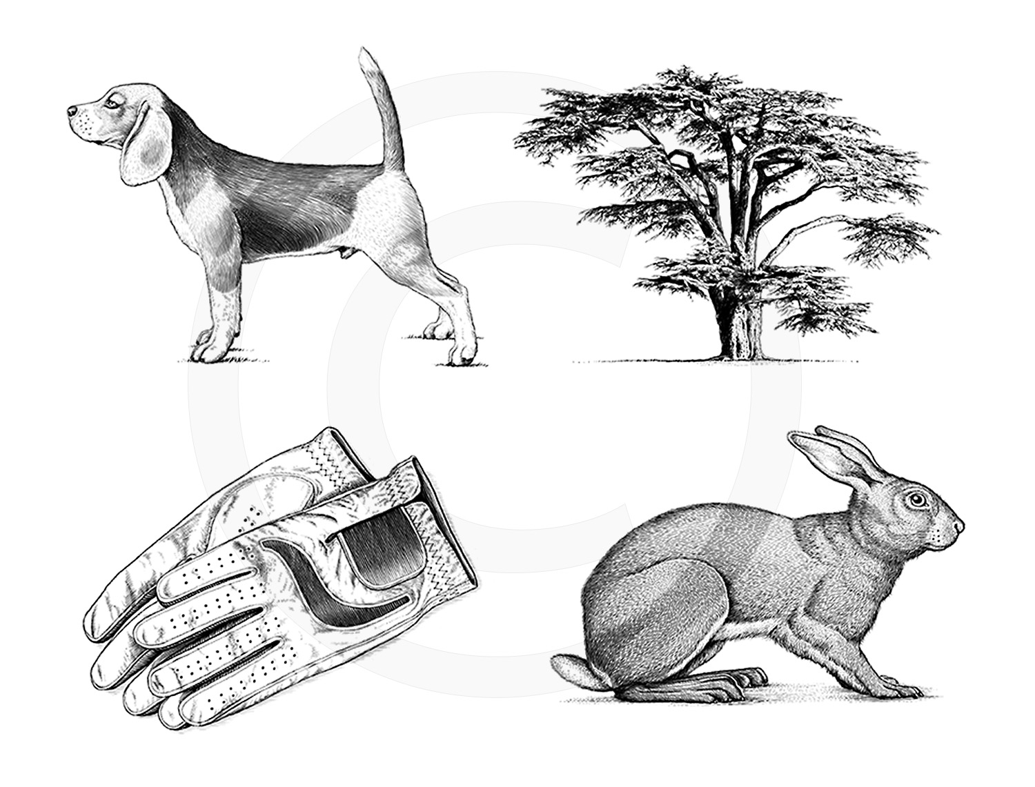 Goodwood Golf : A few woodcut style illustrations for Goodwood Golf.