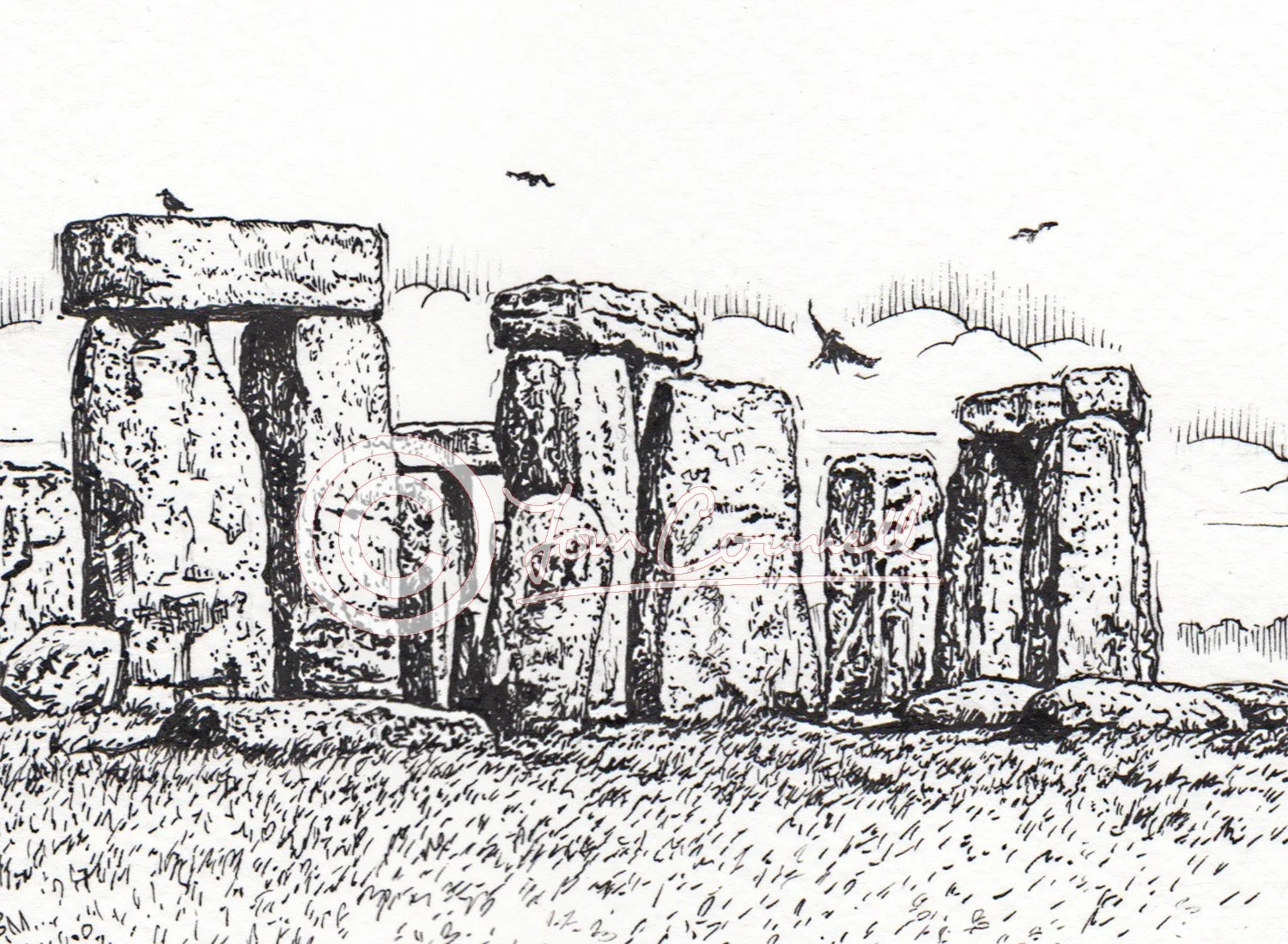 Tom_Connell-STONEHENGEwebsite2.jpg