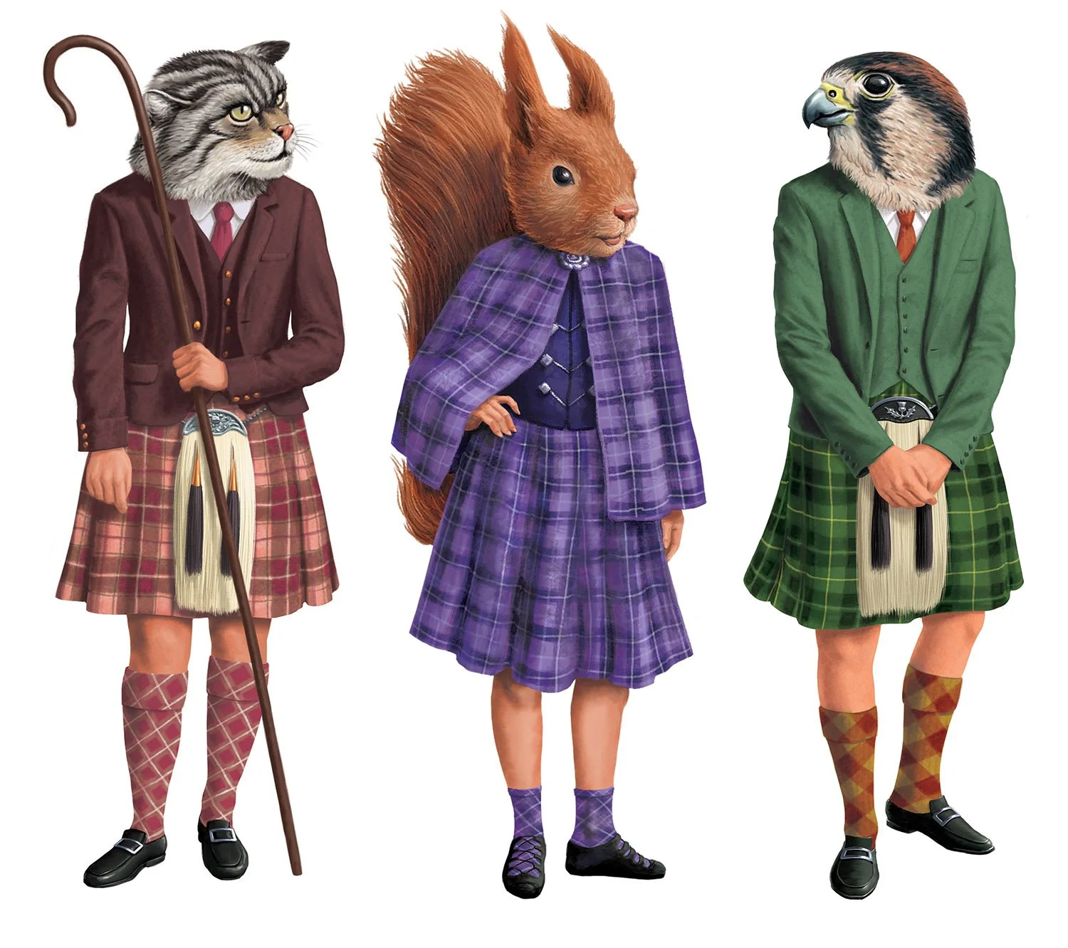 McAllister's Biscuits Packaging