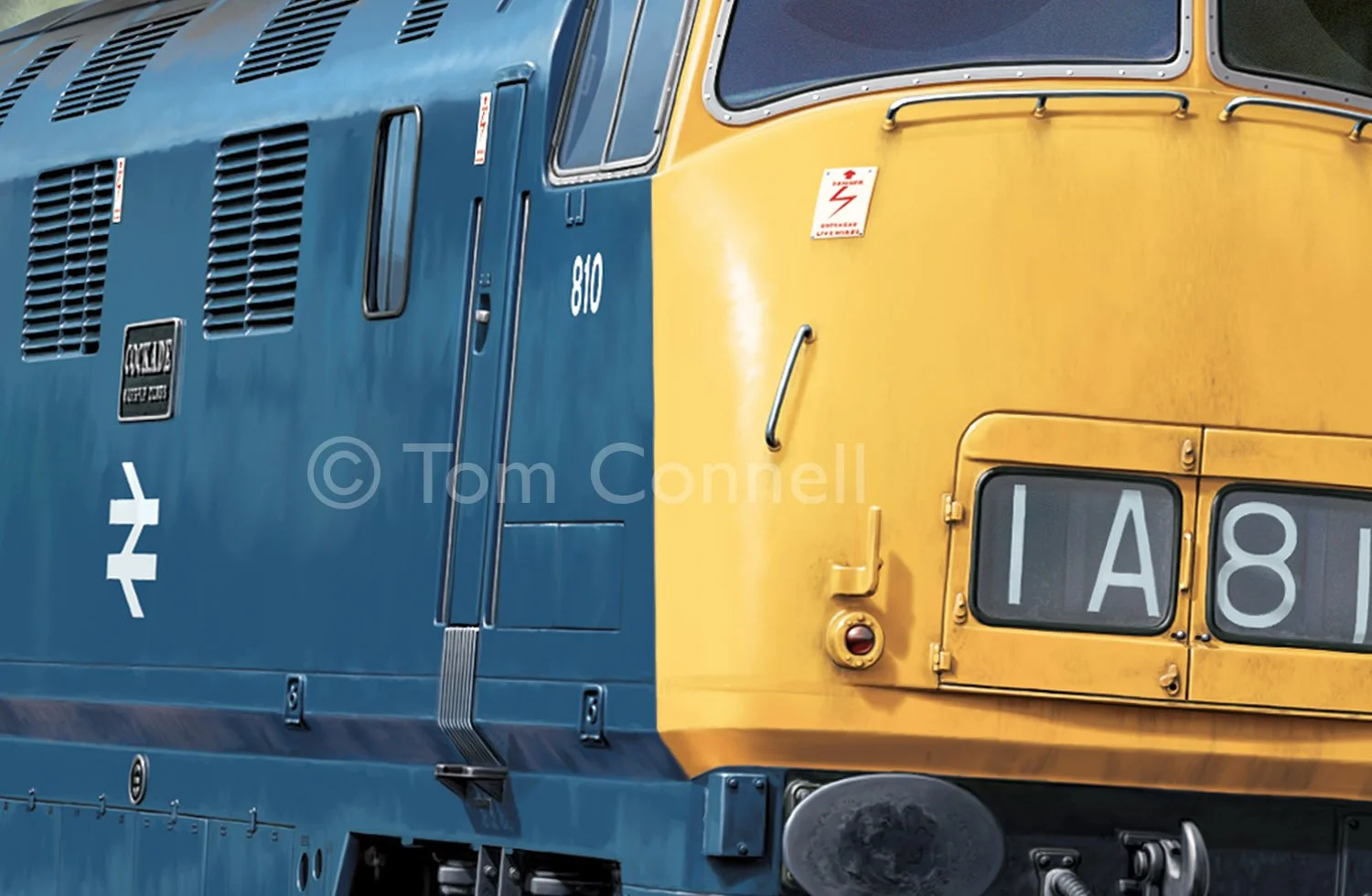 Tom_Connell-Teignmouth2.jpg