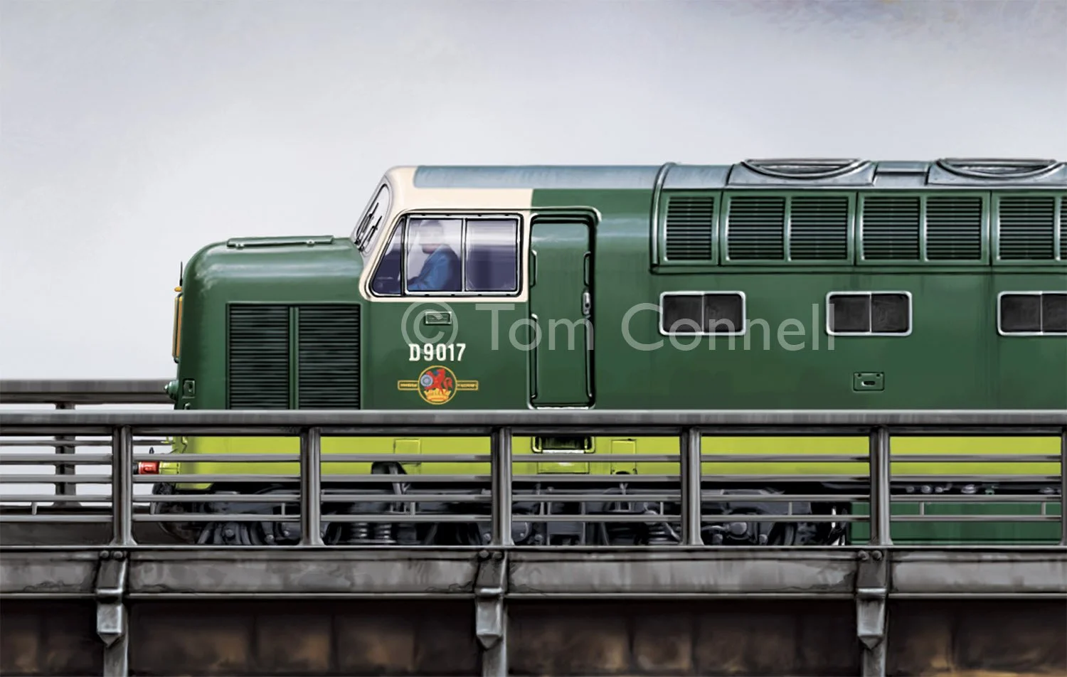 Tom_Connell-COMING_HOME-TO_DURHAM 3.jpg