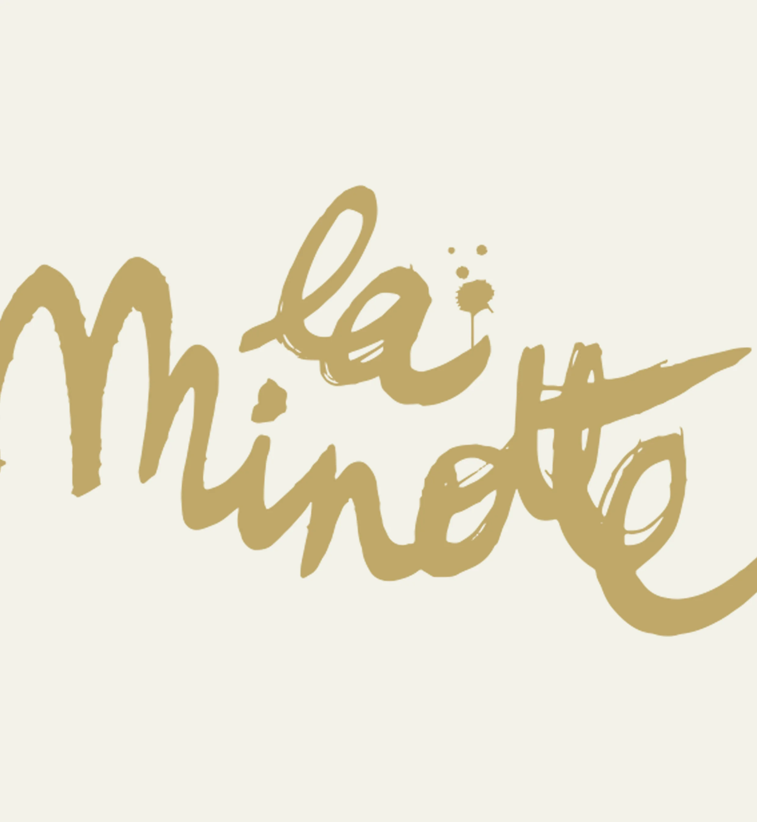 homepage_laminotte_marionfrancoisdesign copie.jpg