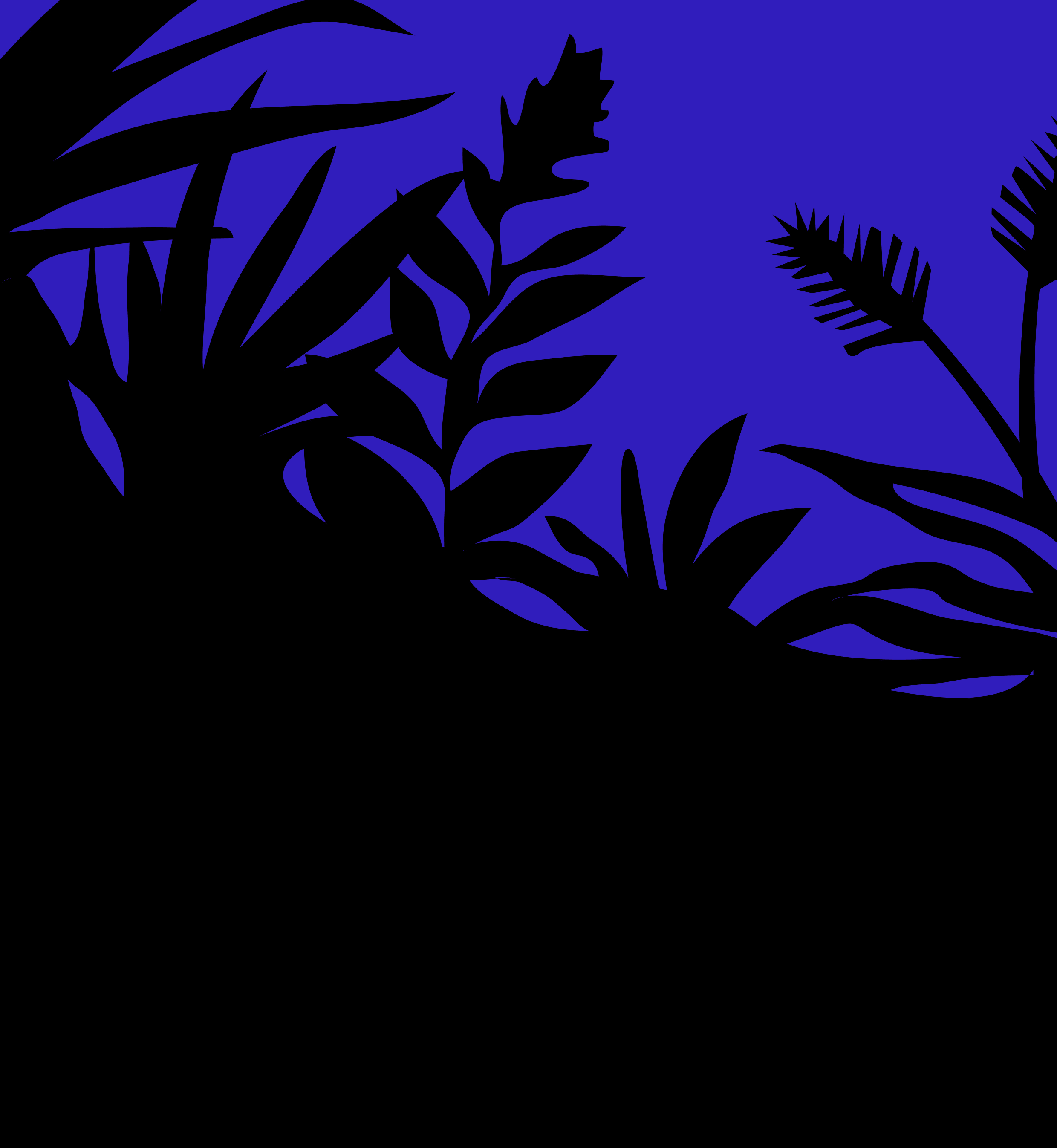 anim-homepage_animhalles_marionfrancoisdesign.gif