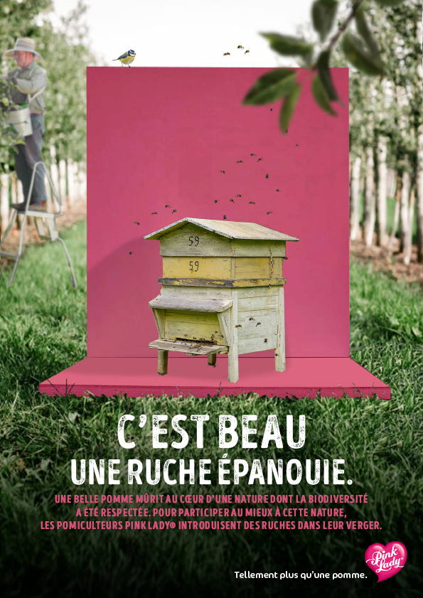 VisuelPiste1-déclinaisons-accroches1-2.png