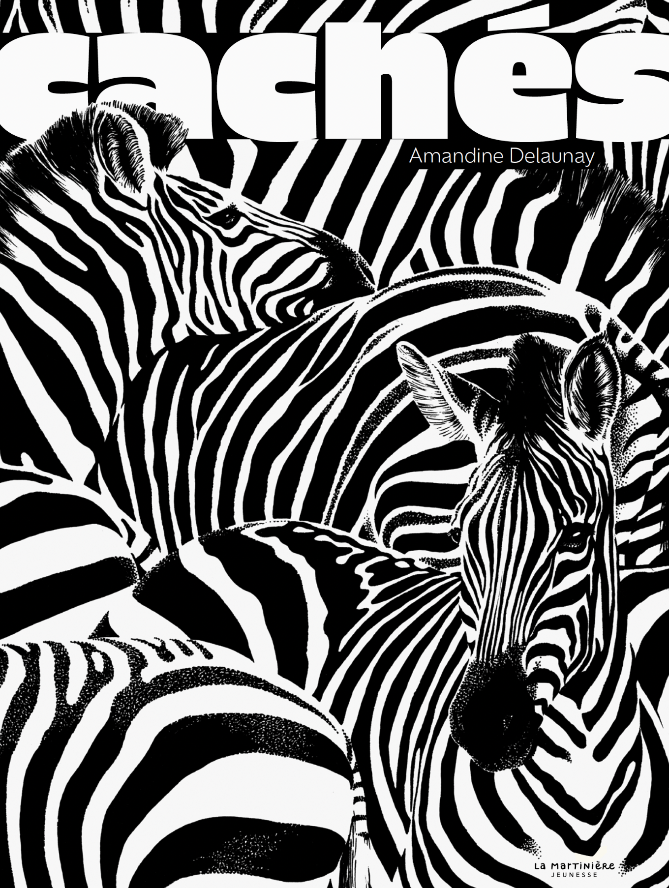 couverture album documentaire amandine delaunay cachés zèbres mimetisme camouflage illustration