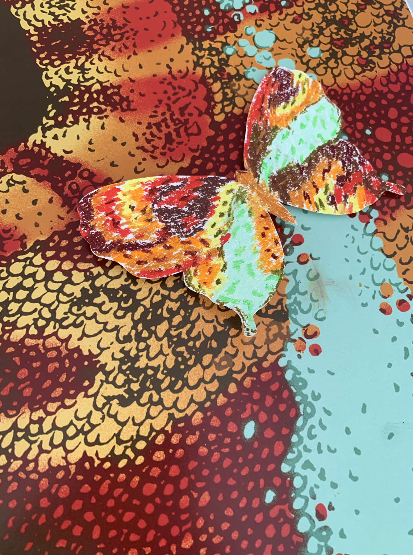 Atelier dessin camouflage de papillons dans la jungle la mer écailles fourrures feuilles