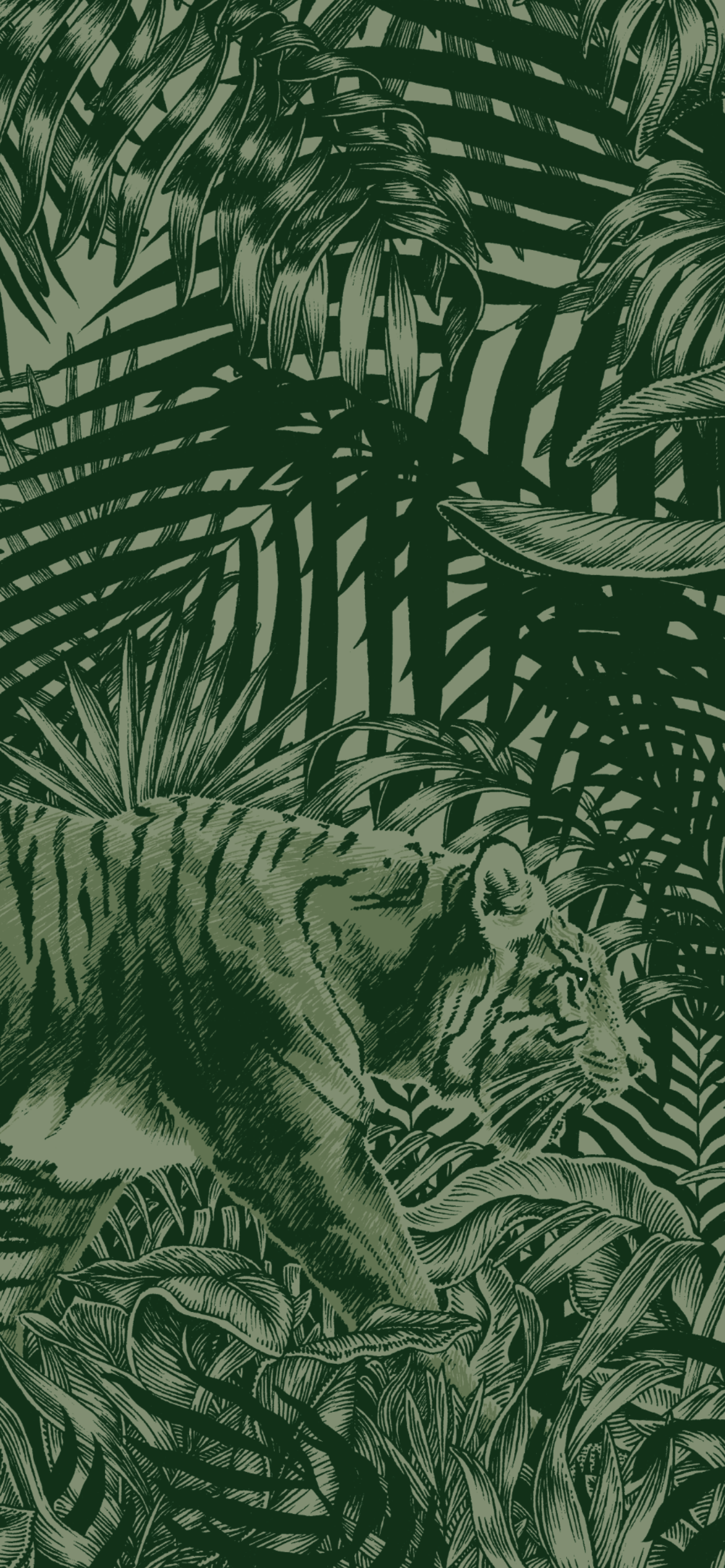 cachés album documentaire la martinière camouflage mimetisme animaux illustration tigre rayures