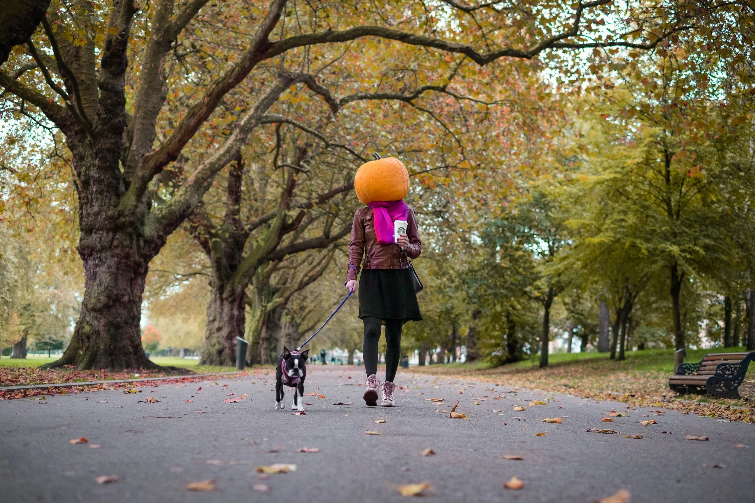 pumpkin head (1 of 1).jpeg