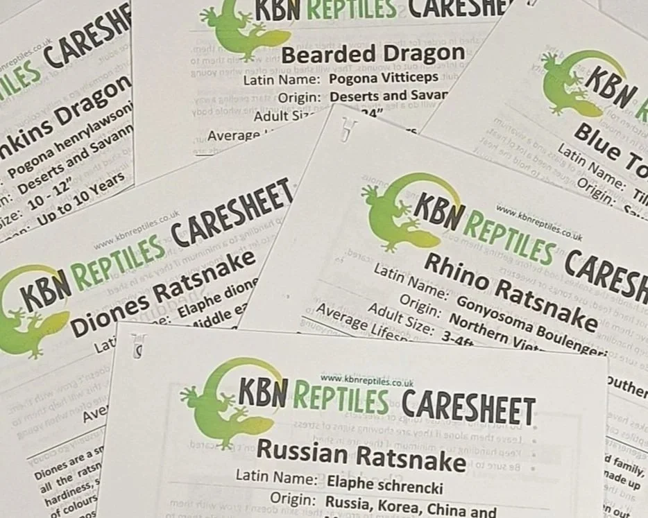 Care-Guide-Care-Sheet