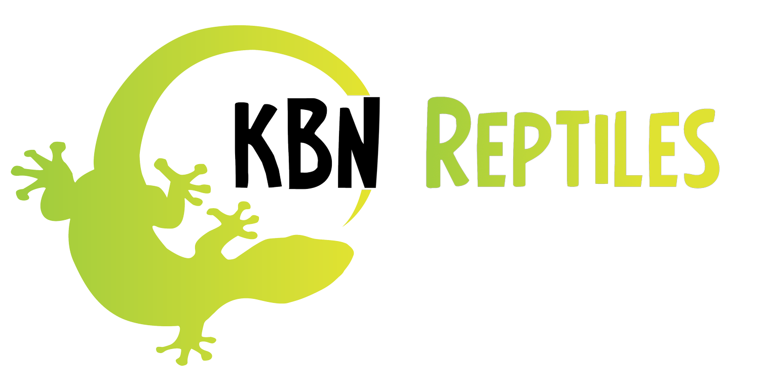 KBN Reptiles