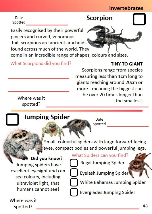 Spotters Guide 3.jpg