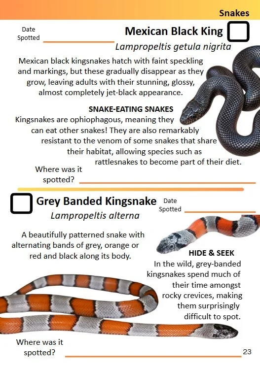 Spotters Guide SNAKE.jpg