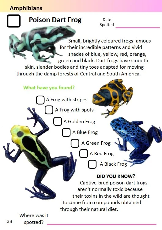 Spotters Guide Frog.jpg